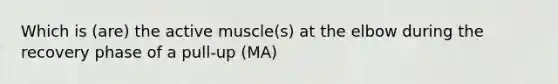 Which is (are) the active muscle(s) at the elbow during the recovery phase of a pull-up (MA)