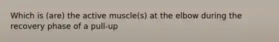 Which is (are) the active muscle(s) at the elbow during the recovery phase of a pull-up