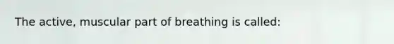 The active, muscular part of breathing is called: