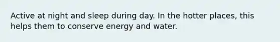 Active at night and sleep during day. In the hotter places, this helps them to conserve energy and water.