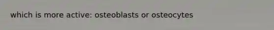 which is more active: osteoblasts or osteocytes