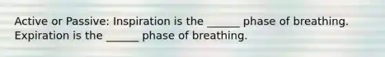 Active or Passive: Inspiration is the ______ phase of breathing. Expiration is the ______ phase of breathing.