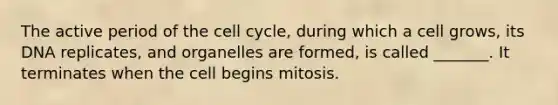 The active period of the cell cycle, during which a cell grows, its DNA replicates, and organelles are formed, is called _______. It terminates when the cell begins mitosis.