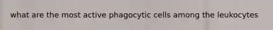 what are the most active phagocytic cells among the leukocytes