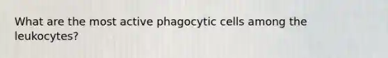 What are the most active phagocytic cells among the leukocytes?