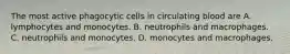 The most active phagocytic cells in circulating blood are A. lymphocytes and monocytes. B. neutrophils and macrophages. C. neutrophils and monocytes. D. monocytes and macrophages.