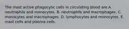 The most active phagocytic cells in circulating blood are A. neutrophils and monocytes. B. neutrophils and macrophages. C. monocytes and macrophages. D. lymphocytes and monocytes. E. mast cells and plasma cells.