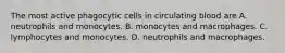 The most active phagocytic cells in circulating blood are A. neutrophils and monocytes. B. monocytes and macrophages. C. lymphocytes and monocytes. D. neutrophils and macrophages.