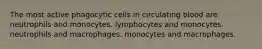 The most active phagocytic cells in circulating blood are neutrophils and monocytes. lymphocytes and monocytes. neutrophils and macrophages. monocytes and macrophages.