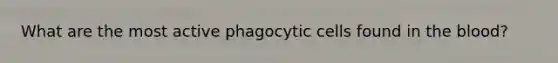 What are the most active phagocytic cells found in the blood?