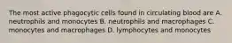 The most active phagocytic cells found in circulating blood are A. neutrophils and monocytes B. neutrophils and macrophages C. monocytes and macrophages D. lymphocytes and monocytes