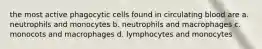 the most active phagocytic cells found in circulating blood are a. neutrophils and monocytes b. neutrophils and macrophages c. monocots and macrophages d. lymphocytes and monocytes