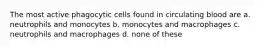 The most active phagocytic cells found in circulating blood are a. neutrophils and monocytes b. monocytes and macrophages c. neutrophils and macrophages d. none of these