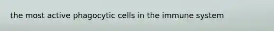 the most active phagocytic cells in the immune system