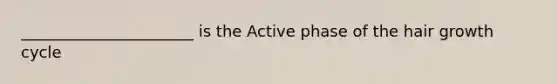 ______________________ is the Active phase of the hair growth cycle