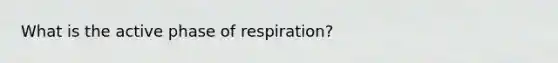 What is the active phase of respiration?