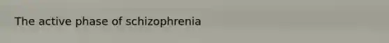 The active phase of schizophrenia