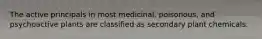 The active principals in most medicinal, poisonous, and psychoactive plants are classified as secondary plant chemicals.