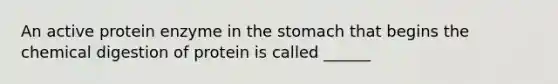 An active protein enzyme in the stomach that begins the chemical digestion of protein is called ______