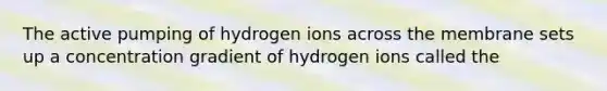 The active pumping of hydrogen ions across the membrane sets up a concentration gradient of hydrogen ions called the