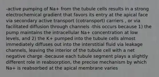 -active pumping of Na+ from the tubule cells results in a strong electrochemical gradient that favors its entry at the apical face via secondary active transport (cotransport) carriers , or via facilitated diffusion through channels -this occurs because 1) the pump maintains the intracellular Na+ concentration at low levels, and 2) the K+ pumped into the tubule cells almost immediately diffuses out into the interstitial fluid via leakage channels, leaving the interior of the tubule cell with a net negative charge -because each tubule segment plays a slightly different role in reabsorption, the precise mechanism by which Na+ is reabsorbed at the apical membrane varies