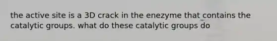 the active site is a 3D crack in the enezyme that contains the catalytic groups. what do these catalytic groups do