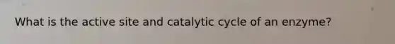 What is the active site and catalytic cycle of an enzyme?