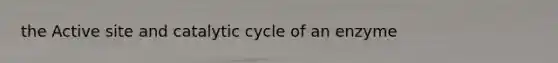 the Active site and catalytic cycle of an enzyme