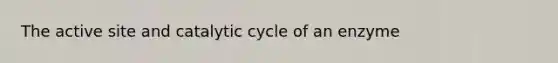 The active site and catalytic cycle of an enzyme