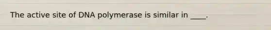 The active site of DNA polymerase is similar in ____.​
