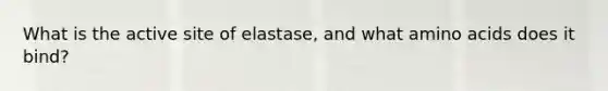 What is the active site of elastase, and what amino acids does it bind?