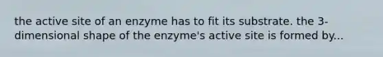 the active site of an enzyme has to fit its substrate. the 3-dimensional shape of the enzyme's active site is formed by...