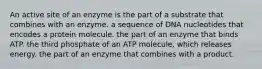 An active site of an enzyme is the part of a substrate that combines with an enzyme. a sequence of DNA nucleotides that encodes a protein molecule. the part of an enzyme that binds ATP. the third phosphate of an ATP molecule, which releases energy. the part of an enzyme that combines with a product.