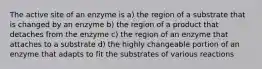 The active site of an enzyme is a) the region of a substrate that is changed by an enzyme b) the region of a product that detaches from the enzyme c) the region of an enzyme that attaches to a substrate d) the highly changeable portion of an enzyme that adapts to fit the substrates of various reactions