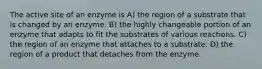 The active site of an enzyme is A) the region of a substrate that is changed by an enzyme. B) the highly changeable portion of an enzyme that adapts to fit the substrates of various reactions. C) the region of an enzyme that attaches to a substrate. D) the region of a product that detaches from the enzyme.