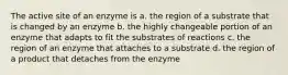 The active site of an enzyme is a. the region of a substrate that is changed by an enzyme b. the highly changeable portion of an enzyme that adapts to fit the substrates of reactions c. the region of an enzyme that attaches to a substrate d. the region of a product that detaches from the enzyme