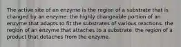 The active site of an enzyme is the region of a substrate that is changed by an enzyme. the highly changeable portion of an enzyme that adapts to fit the substrates of various reactions. the region of an enzyme that attaches to a substrate. the region of a product that detaches from the enzyme.