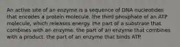 An active site of an enzyme is a sequence of DNA nucleotides that encodes a protein molecule. the third phosphate of an ATP molecule, which releases energy. the part of a substrate that combines with an enzyme. the part of an enzyme that combines with a product. the part of an enzyme that binds ATP.