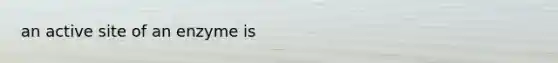 an active site of an enzyme is