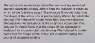 The active site model (also called the lock and key model) of enzyme-substrate binding differs from the induced fit model in which of the following ways? -The induced fit model holds that the shape of the active site is permanently altered by substrate binding -The induced fit model holds that enzyme-substrate binding does not take place at the enzyme's active site -The induced fit model holds that the shape of the substrate is irrelevant to enzyme-substrate binding -The induced fit model holds that the shape of the active site is altered during the course of substrate binding