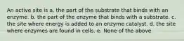 An active site is a. the part of the substrate that binds with an enzyme. b. the part of the enzyme that binds with a substrate. c. the site where energy is added to an enzyme catalyst. d. the site where enzymes are found in cells. e. None of the above