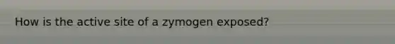 How is the active site of a zymogen exposed?