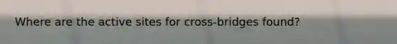 Where are the active sites for cross-bridges found?