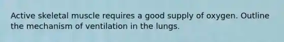 Active skeletal muscle requires a good supply of oxygen. Outline the mechanism of ventilation in the lungs.