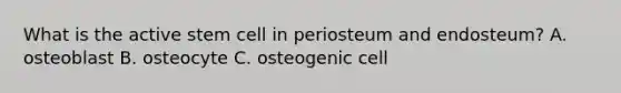 What is the active stem cell in periosteum and endosteum? A. osteoblast B. osteocyte C. osteogenic cell