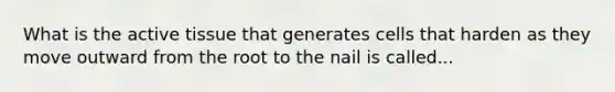 What is the active tissue that generates cells that harden as they move outward from the root to the nail is called...