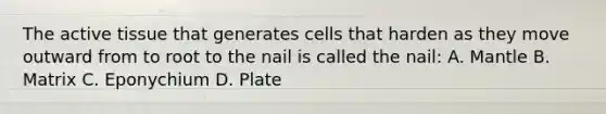 The active tissue that generates cells that harden as they move outward from to root to the nail is called the nail: A. Mantle B. Matrix C. Eponychium D. Plate