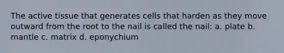 The active tissue that generates cells that harden as they move outward from the root to the nail is called the nail: a. plate b. mantle c. matrix d. eponychium