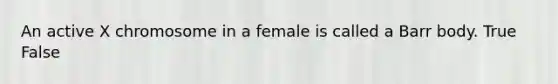 An active X chromosome in a female is called a Barr body. True False