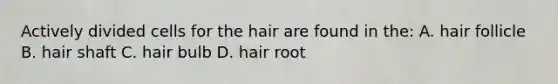 Actively divided cells for the hair are found in the: A. hair follicle B. hair shaft C. hair bulb D. hair root